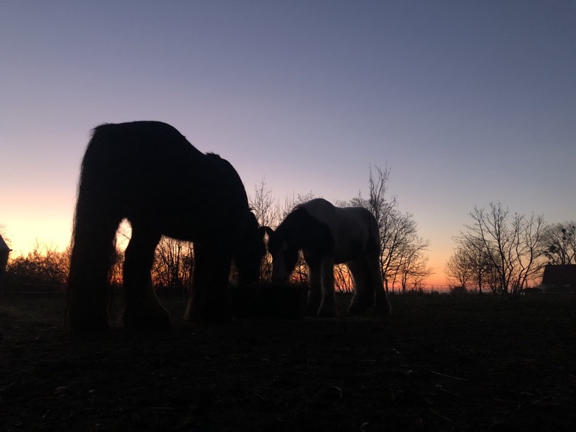 40E1EC6E-A78E-4ACF-8A87-2625533A2E6D_1_105_c